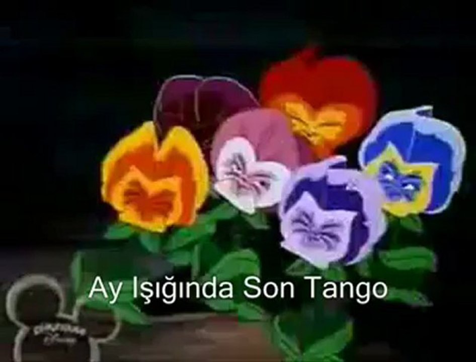 Bu gün benim doğum günüm