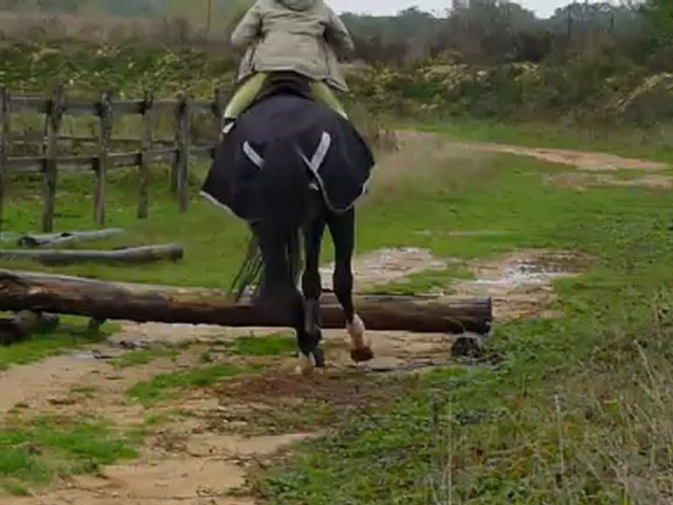 Premier saut de Cuba Libre avec Didine à la pension 20/10/12