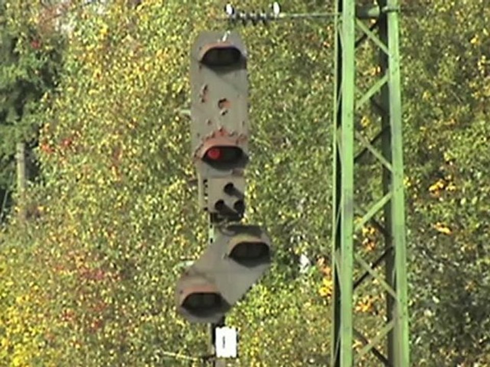 Züge bei Rheinbrohl, HECTORRAIL BR241, Spitzke V100, 151, 152, 3x 185, 143, 2x 425