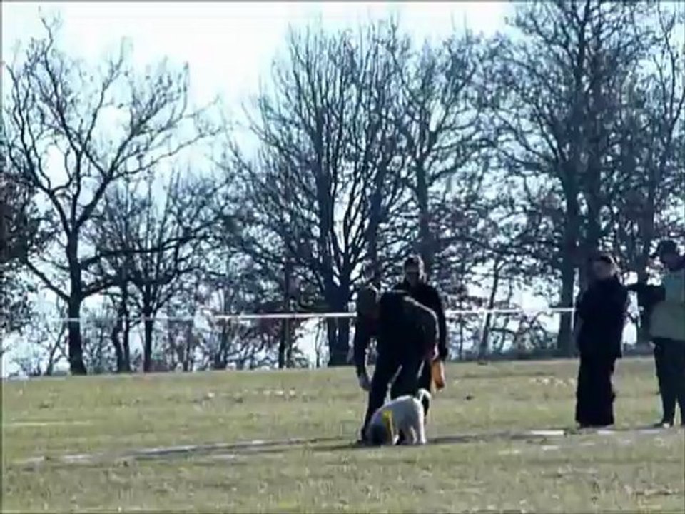 concours de cavage avec dixie