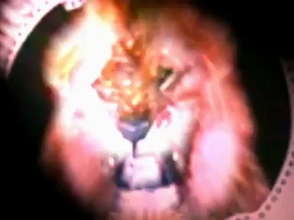 Metro-Goldwyn-Mayer LIONS #6 (1921-2008) HD (1)
