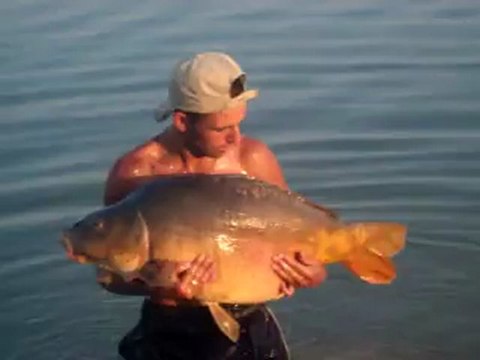 carpe miroir 20 kg + elle veut plus partir ,