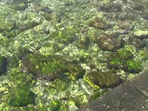 Grecja , wyspa SPETSES 8 VII 2012