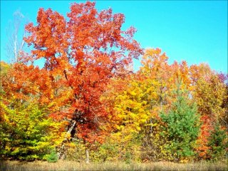 Photos du Québec en Automne