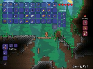Aventure suivie Terraria : "Into The Wild" - Ep 04