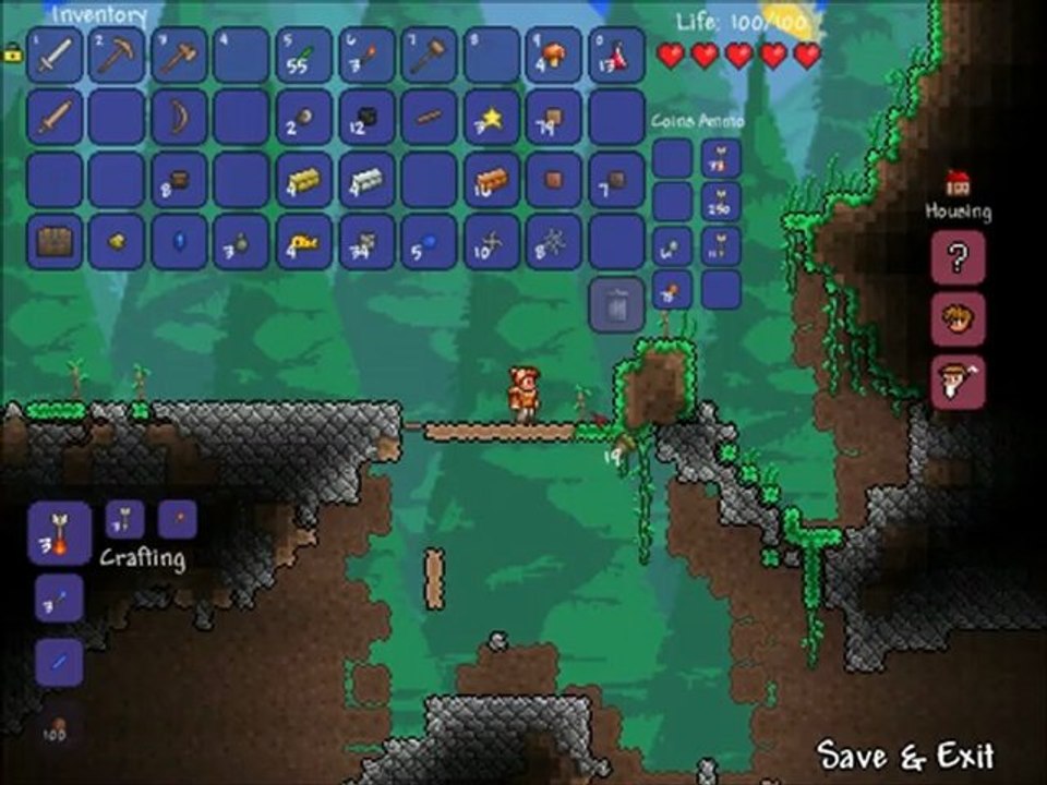 Aventure suivie Terraria : "Into The Wild" - Ep 04