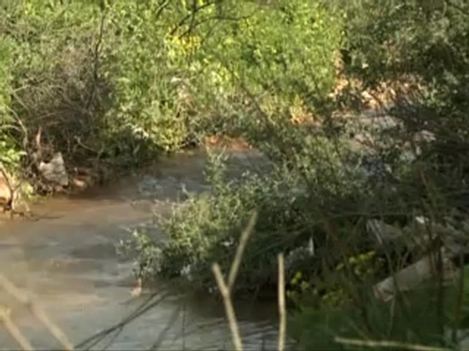 حكاية بلد - ابو سنان