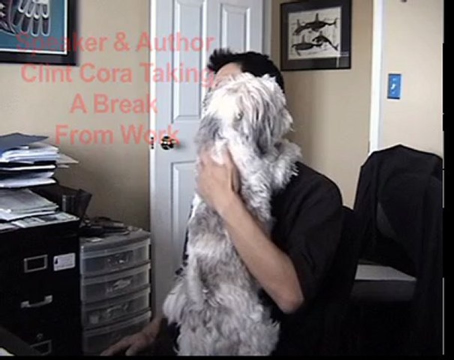 Small Dogs Lhasa Apsos Need Lots Of Affection