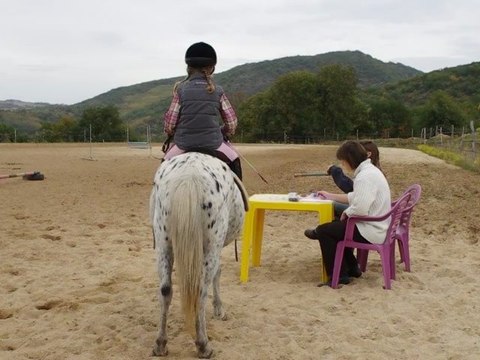 Concours maniabilité 1er passage
