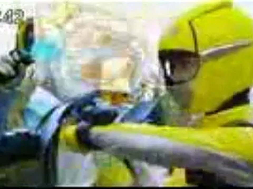 Go-Busters Yellow and Stag Busters henshin