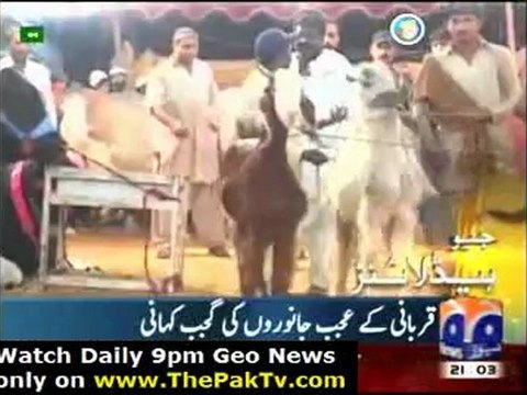 Geo News 9pm - 21st October 2012 - Headlines