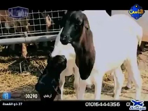 مناسك الحج .. مواقيت الاحرام .. قناة الناس