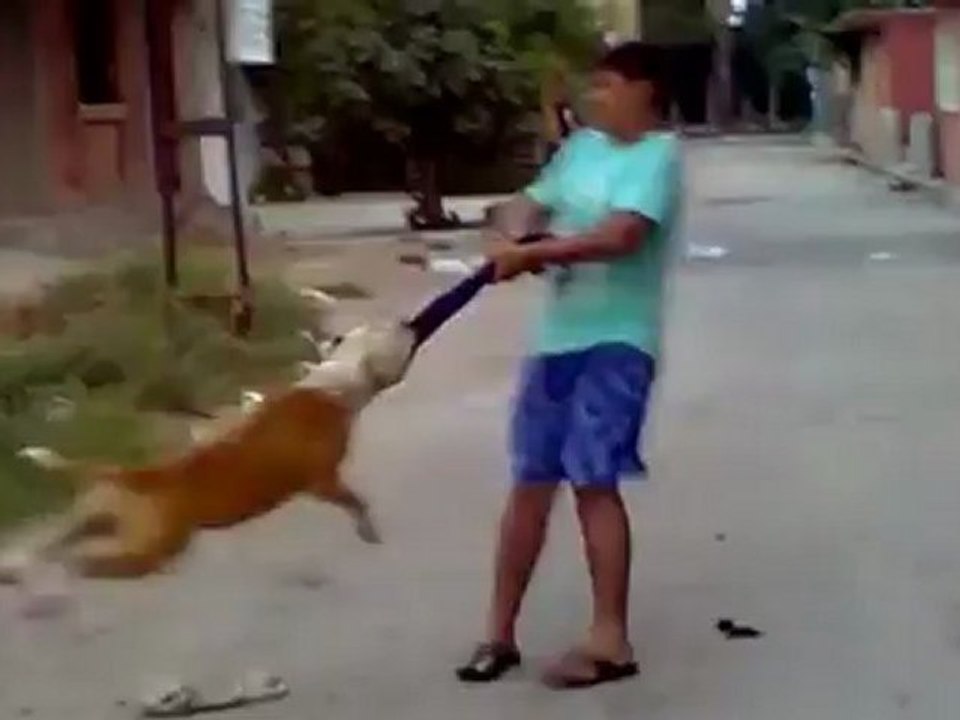 uCa - İce Pitbull Attack!