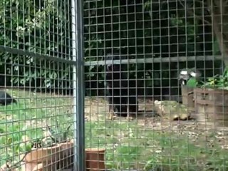 Portée 3 - Delta x César - 3ème semaine.