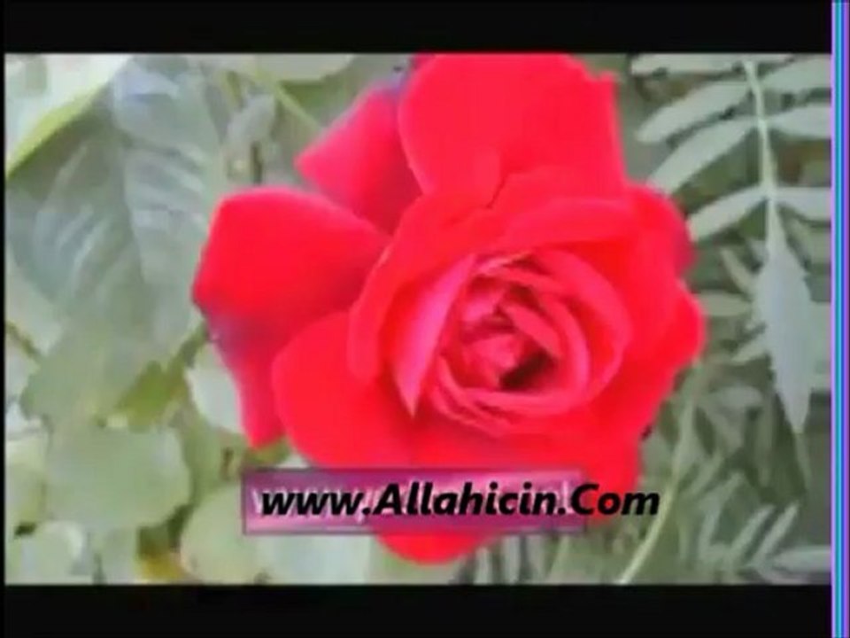 Şefaat Ya ResuL Allah - www.islamradyo.net