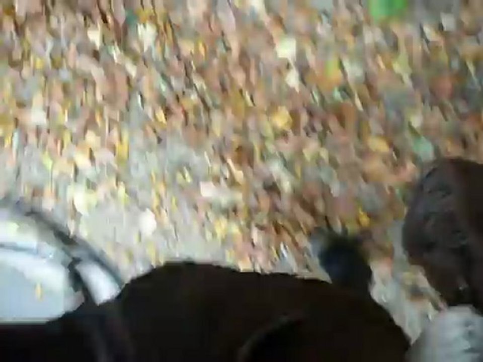 balade d'automne