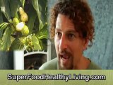 Noni Juice The Great Healer  (Organic Super Foods)