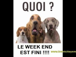 Le Tvnet Face Bouc Show n°30