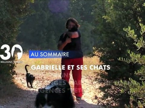 Sommaire émission 30 Millions d'Amis 27/10/2012