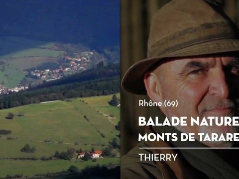Balade nature, monts de Tarare, le coup de cœur de Thierry - Bienvenue chez vous !