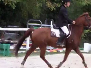 concours hippique octobre 2012