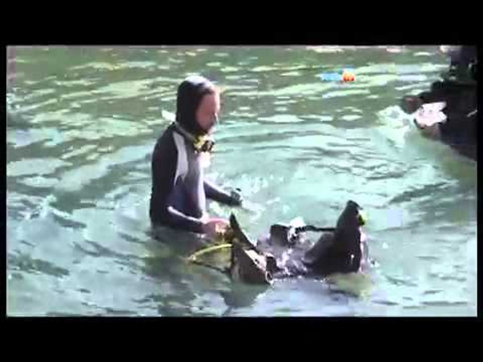 Napoli - Ripercussioni Marine, pulizia della Gaiola (20.10.12)