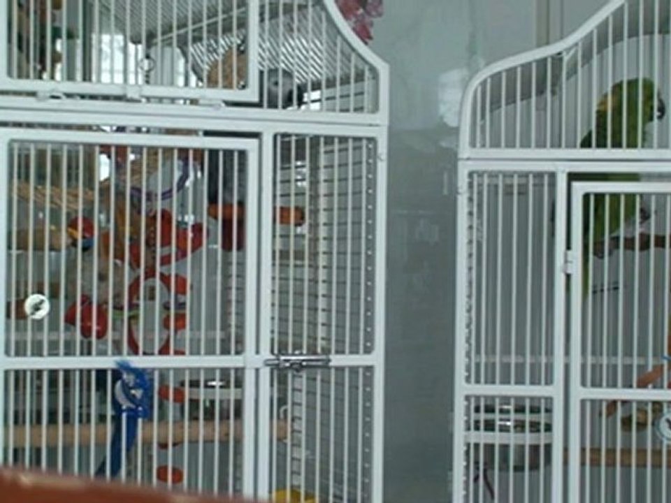 Calipsa et Philibert en conversation et chanson avant le dodo octobre 2012