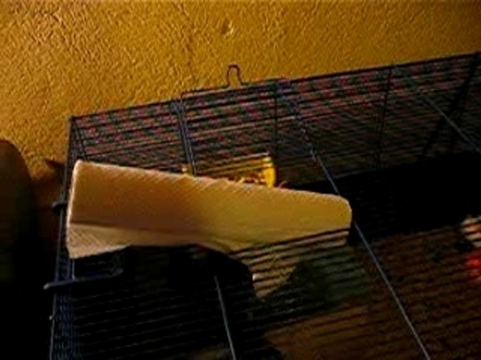 Photo 006