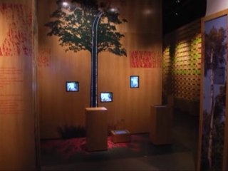 100% Sarthe au Musée Carnuta (Jupilles)