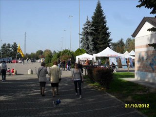 ECOFESTA 2012 A PADERNO DUGNANO (MILANO, ITALY)