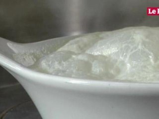 Le navet tisse sa toile