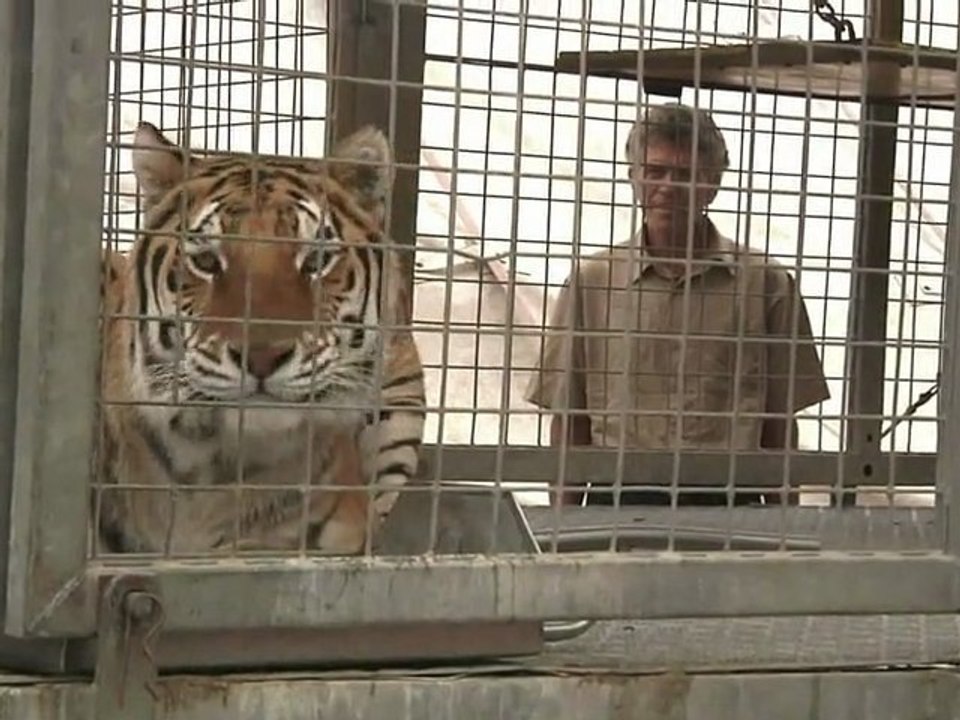 Cirque Médrano à Lyon : à la découverte des coulisses