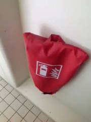 Daily Interview : (null)