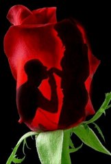 Rod Stewart - I love you for sentimental reasons