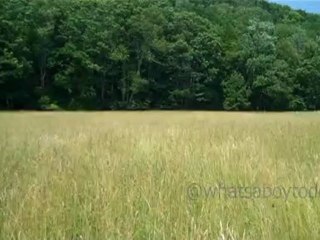 30 Seconds of Peace: Mountain views and fields