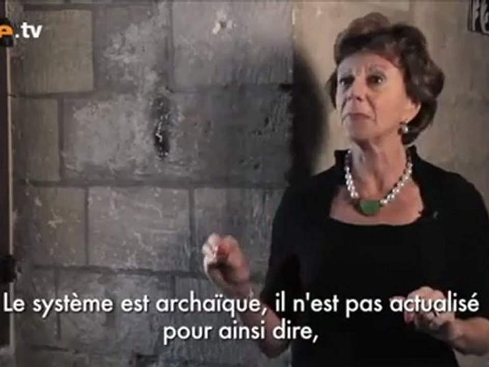Neelie Kroes - Les systèmes de droit d'auteurs - Forum d'Avignon 2010