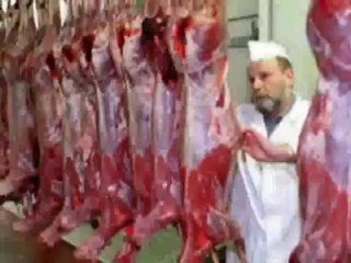 Gio - Schau nicht weg