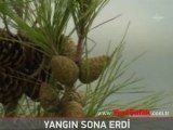 Yağmur yağınca, Amanoslar'daki orman yangını sona erdi