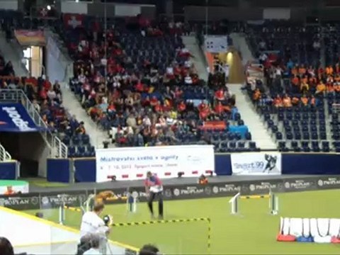 Nova scotia WC Agility 2012