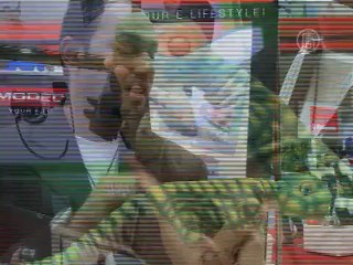 Новый робот-динозавр узнаёт лица и чувства