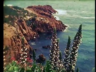 Extraits de Super 8 années 1981 1982 pellicule Fuji