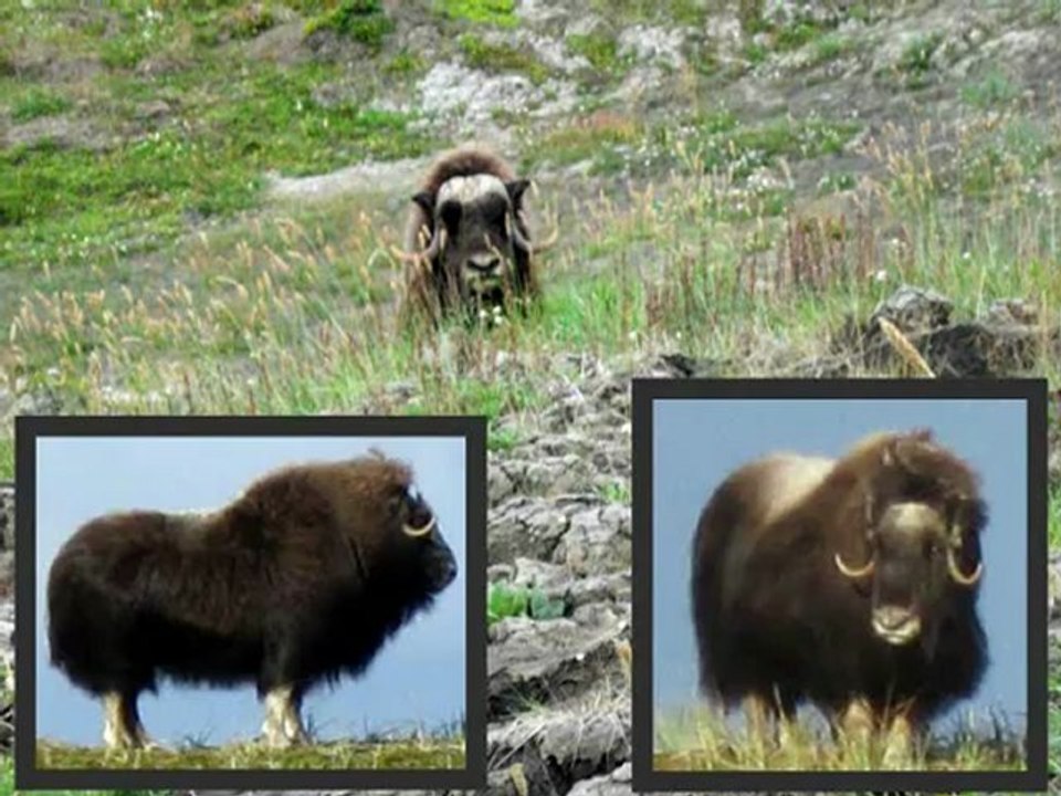 15102012 France Bleu Pays de Savoie  2