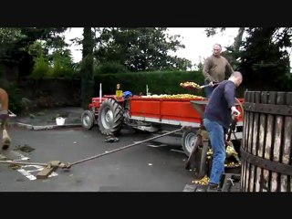 12-10-21 Fabrication du cidre à l'ancienne : grugeoir entraîné par des chevaux grâce à un système d'engrenage