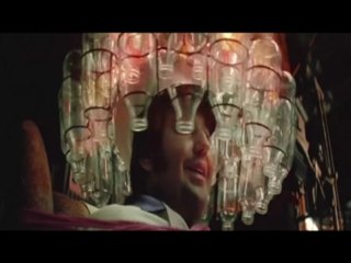 Catnapping: wild cat gang attacks milkmen