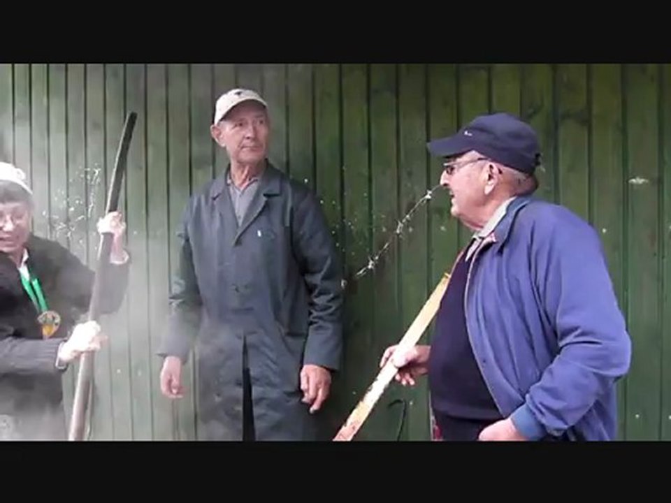12-10-21 Ramaougerie de pommé