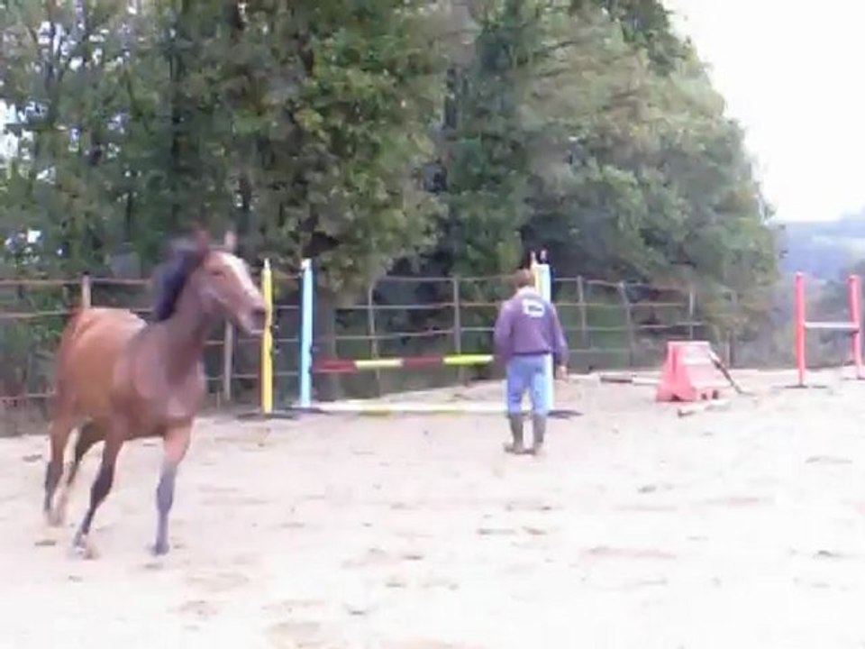arobase d'ardelay 20 oct 2012