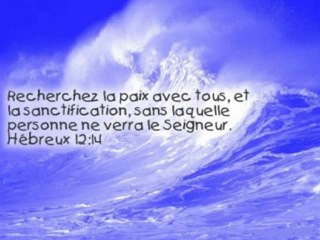 comment marcher dans une sainteté concrète ,part:1 henry VIAUD MURAT