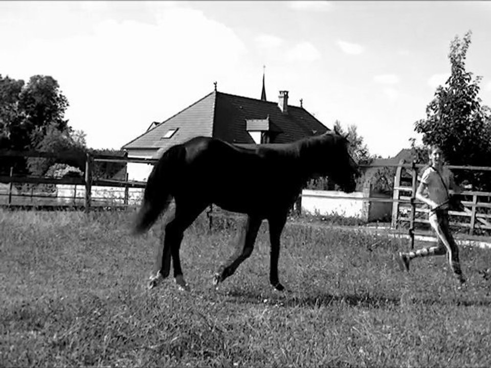 Black beauty et charlotte ♥.