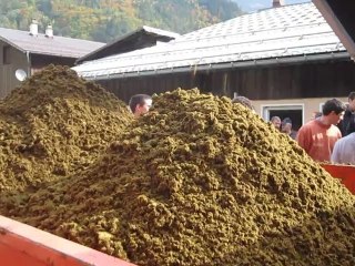 vidéo cuma beaufortain séparateur 5