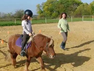 slalom et volte au trot